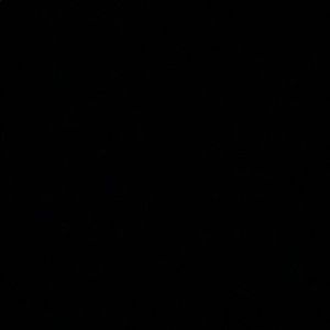 Meet your Posher, Marlyce